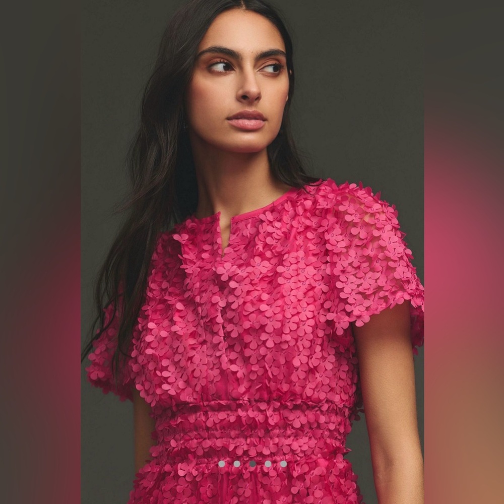 Anthropologie Somerset Appliqué  Textured Mini Dress- EUC!! - Picture 3 of 11